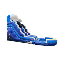 Blue Wave 15ft Slide (WET) - $300 per day